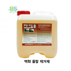 라임졸 10L/백화.몰탈.시멘트제거제